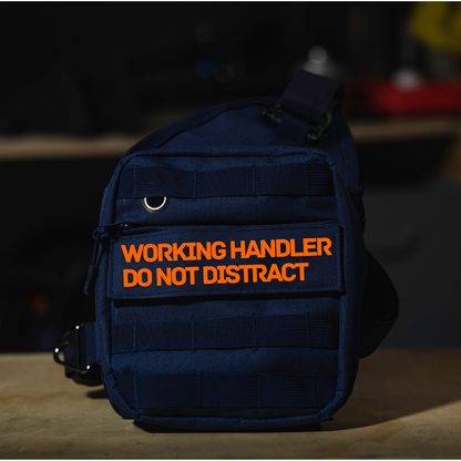 'Training in Progress' Velcro Patch